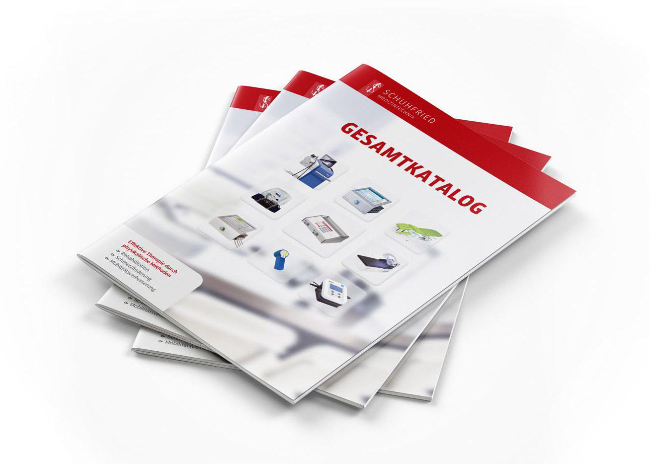 Produktion, Layout, Grafik für Katalog (Burgenland, Wien)