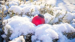 Weihnachtsgrüße 2023, Mausblau - Webdesign, Grafik und Print, Logodesign