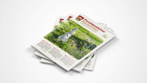 Produktion einer Zeitschrift mit Layout und Druck im Burgenland